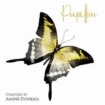 Papillon by Amine Doukali