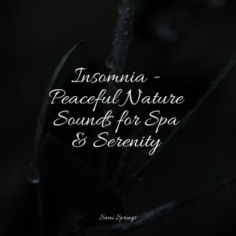 Insomnia - Peaceful Nature Sounds for Spa & Serenity by SleepTherapy