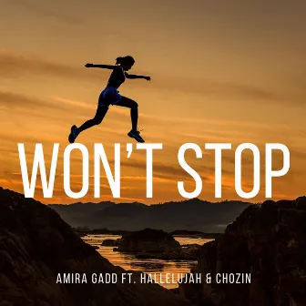 Won't Stop by Amira Gadd