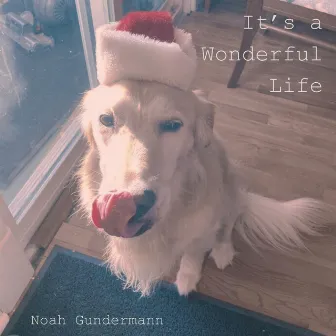 It's a Wonderful Life by Noah Gundermann