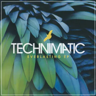 Everlasting EP by Technimatic