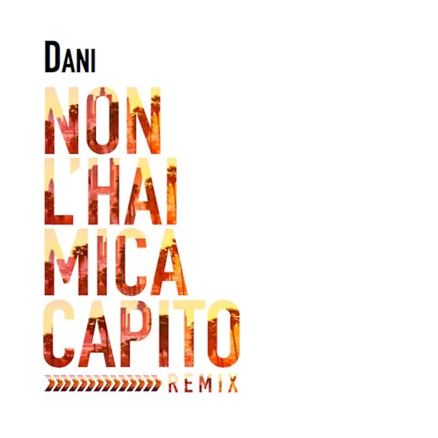 Non l'hai mica capito (Remix)