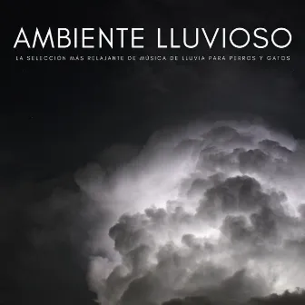 Ambiente Lluvioso: La Selección Más Relajante De Música De Lluvia Para Perros Y Gatos by Estudio de sonidos de lluvia