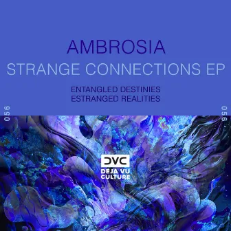 Strange Connections by Ambrosia