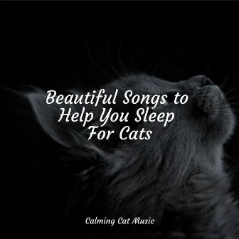 Beautiful Songs to Help You Sleep For Cats by Jazz Music Therapy for Cats