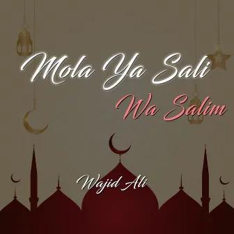 Mola Ya Sali Wa Salim by Wajid Ali