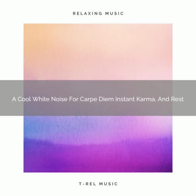 A Cool White Noise For Carpe Diem Instant Karma, Tired Nap