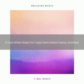 A Cool White Noise For Carpe Diem Instant Karma, And Rest by White Noise Pleasant Sounds