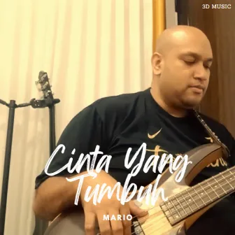 Cinta Yang Tumbuh by 