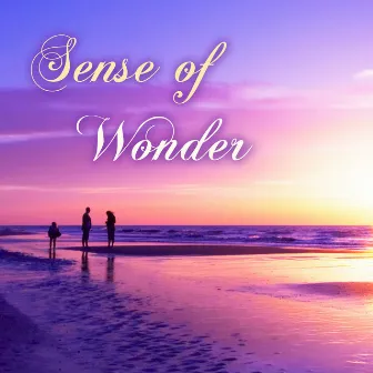 Sense of Wonder - Best Meditation Music, Relaxing Spa Sounds Collection by Stevie Best