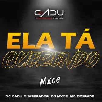 ELA TÁ QUERENDO by MC Degradê