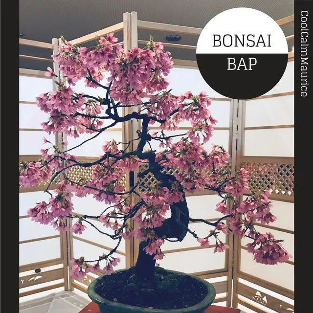 Bonsai Bap