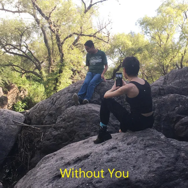 Without You