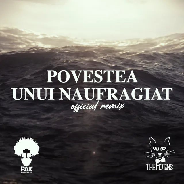 Povestea Unui Naufragiat - Official Remix