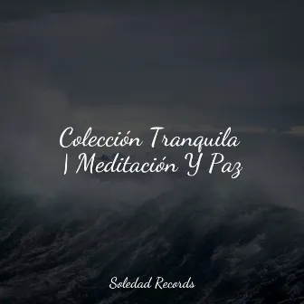 Colección Tranquila | Meditación Y Paz by Massagem Música