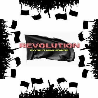 Revolution by PVYNE