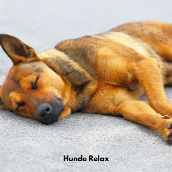 Hunde Relax by Hunde Entspannungsmusik