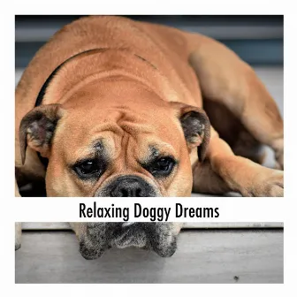 Relaxing Doggy Dreams by Calming Doggy Sleep