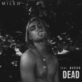 Dead by Mileo