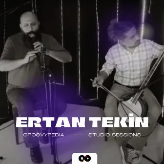 Yaylı Tanbur (Live) by Ertan Tekin