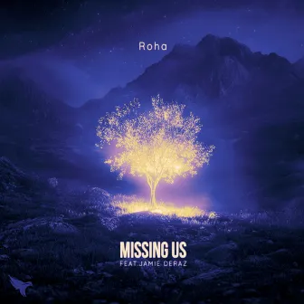 Missing Us by Roha