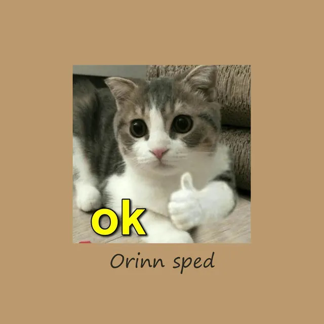 Sped up TikTok songs | Sped up Orinn #11