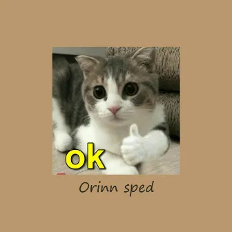 Sped up TikTok songs | Sped up Orinn #11 by Orinn Sped