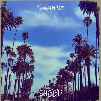 Sunshine by SHEED