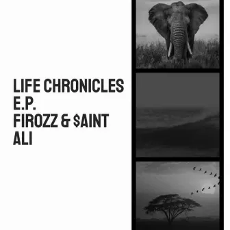 Life Chronicles E.P. by Firozz