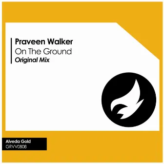 On The Ground by Praveen Walker