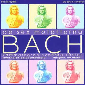 Bach: The 6 Motets by Bo Aurehl