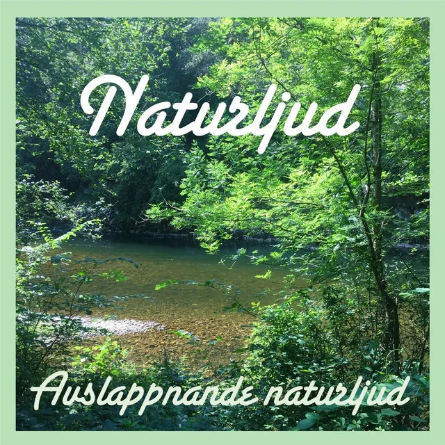 Avslappnande Naturljud