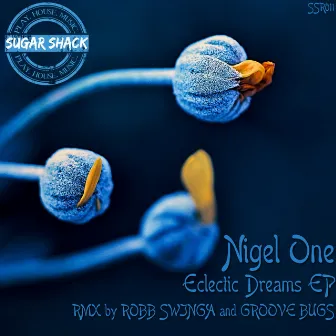 Eclectic Dreams EP by Nigel One