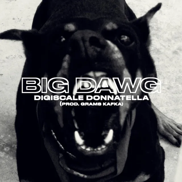 Big Dawg