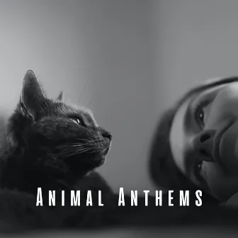 Animal Anthems: Piano Music for Tranquil Pets by Music For Pets