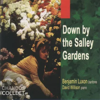 Down By The Salley Gardens by David Willison