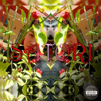 Satori by Satori Om