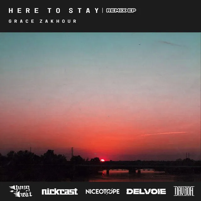 Here To Stay - Niceotope Remix