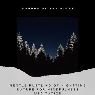 Gentle Rustling of Nighttime Nature for Mindfulness Meditation by Sounds of the Night