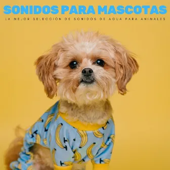 Sonidos Para Mascotas: La Mejor Selección De Sonidos De Agua Para Animales by Perritos Fantásticos