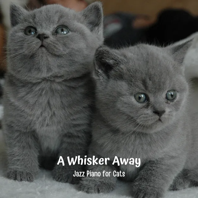 A Whisker Away: Jazz Piano for Cats