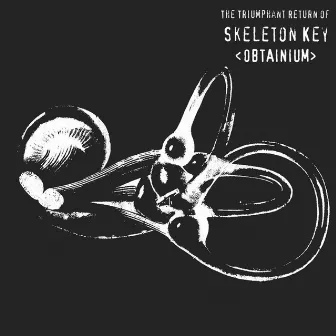 Obtainium by Skeleton Key