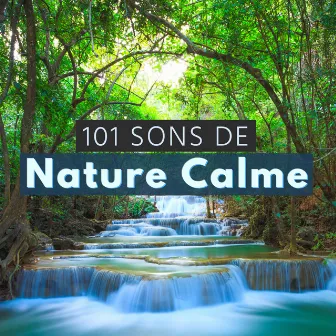 101 Sons de Nature Calme - Sons de la nature nuit pour relaxation s'endormir by Unknown Artist