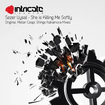 She Is Killing Me Softly by Sezer Uysal