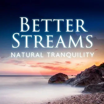 Better Streams: Natural Tranquility Riverside, Ocean Sounds, Nature, Spa Relaxation, Meditation and Reiki Healing by Tranquility Area of Zen