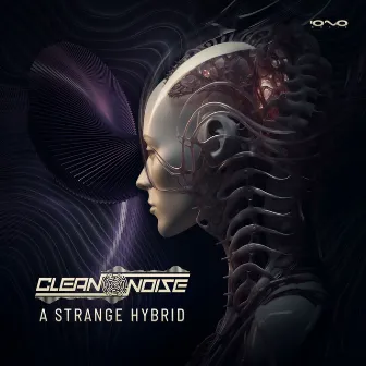 A Strange Hybrid by Clean Noise