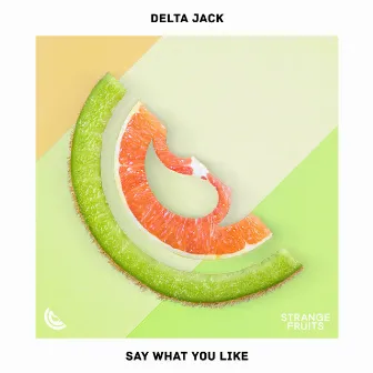 Say What You Like by Delta Jack