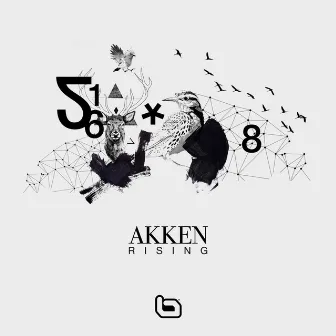 Rising by Akken