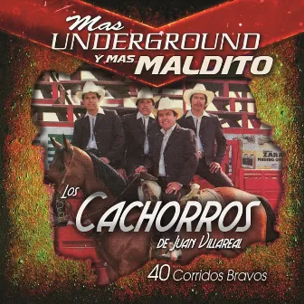 40 Corridos Bravos by Los Cachorros de Juan Villarreal