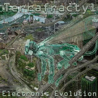 Electronic Evolution by Terrafractyl